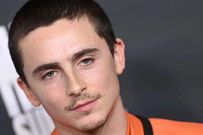 Timothée Chalamet The Rise of Hollywood’s Most Versatile Star