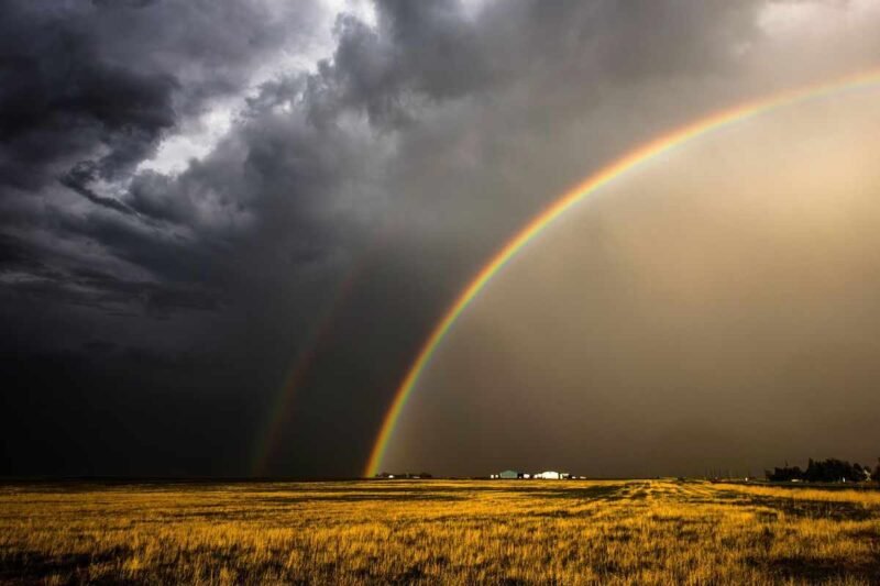 Wether Meaning Uses Characteristics and How It Differs from Weather and Whether